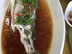 青蒸海鲈-旺富东海大酒楼(海鲜街店)