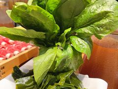 -草原塞蛮羊火锅城(港湾店)