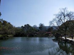 -西湖外事游船(花港观鱼码头)