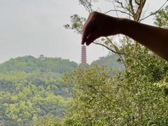 -大雁山风景区