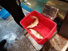 -老板恋上鱼(荣盛广场店)