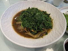 蚌肉金花菜-禧福楼·十五年老店(科技城店)