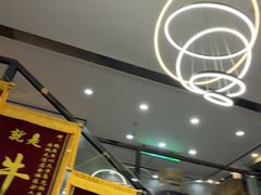 -半岛宠物医院24小时·内窥镜·牙科·碎石中心(府城大道店)