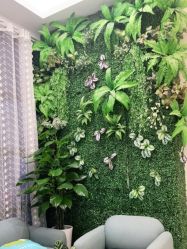 -苗医生草本科技祛痘