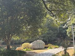 -潜山国家森林公园