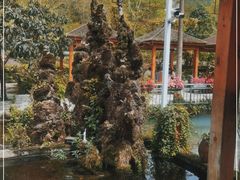 -源泉冷水鱼庄(小鱼洞店)