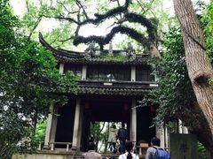 -溪口-滕头旅游景区