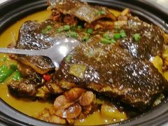 红烧野生大甲鱼-满园春酒楼(庐江路店)