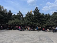 -护国法轮寺