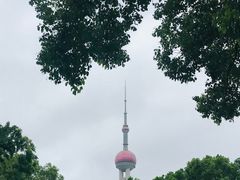 -北外滩滨江绿地