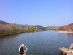 -千年银杏谷文化旅游区