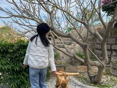 -那琴半岛地质海洋公园