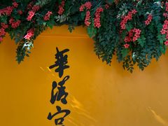 -华清宫景区