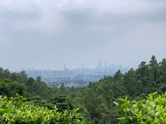 -火炉山森林公园