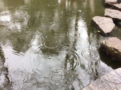 -赭山公园