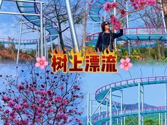 -盈香心动乐园