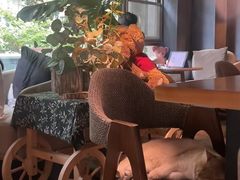 -咖法森林·咖啡  酒吧(天河店)