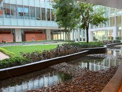 -香港大学
