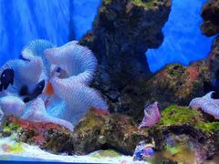 -多彩贵州城极地海洋世界