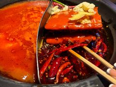 -蜀大侠火锅(总府路店)