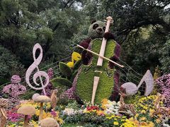 -杭州植物园