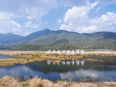 -腾冲北海湿地