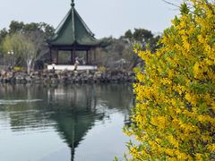 -无锡蠡湖国家湿地公园-蠡园