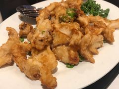-食为先(Shark Fin)