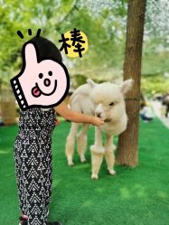 -萌宠亲子动物乐园(槐房万达店)