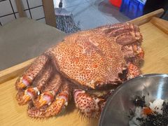 -震海贝烤贝·民俗特色店(延吉总店)
