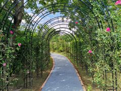 -福建鲤鱼洲酒店