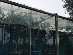 -秦皇岛野生动物园