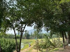 -乌素图国家森林公园