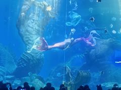 -波塞冬海底世界
