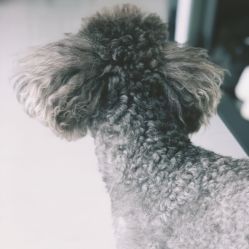 -柏姿舞蹈工作室