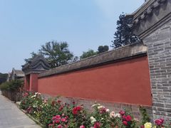 -北京全聚德(王府井店)