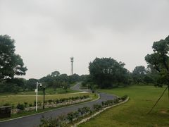 -东莞植物园