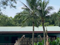-海南热带野生动植物园