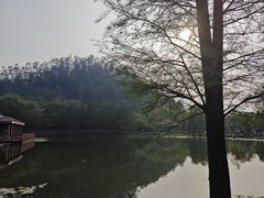 -顺峰山公园