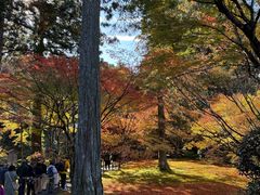 -三千院