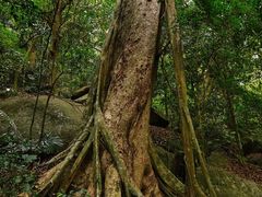 -七仙岭温泉国家森林公园