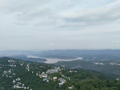 -大金鹰园