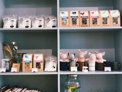 零售区-WHEN PIGS FLY当猪飞
