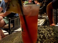 -Long Bar(莱佛士酒店)