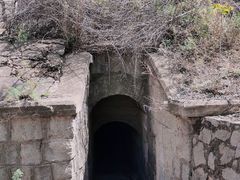 -白水寺森林公园