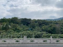 -东山风景区(洞庭东山)
