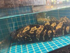 -百富源·海鲜辽菜(张士店)