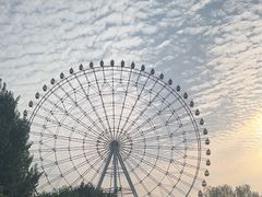 -万泉公园