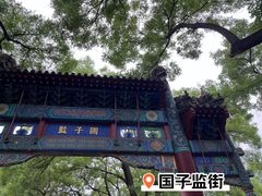 -北京国子监胡同