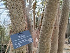 -北京植物园-展览温室